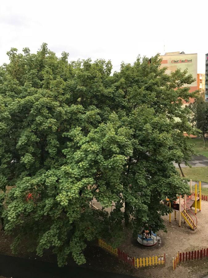 Apartment Kubo Vranov nad Toplou Bagian luar foto